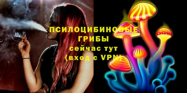 таблы Алзамай
