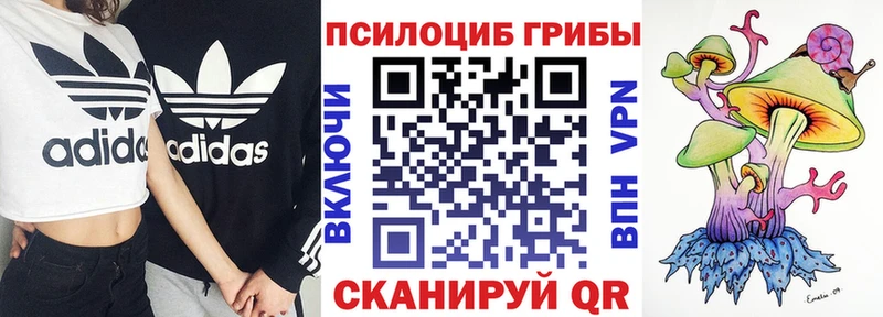 даркнет сайт  Арзамас  Галлюциногенные грибы Psilocybe 