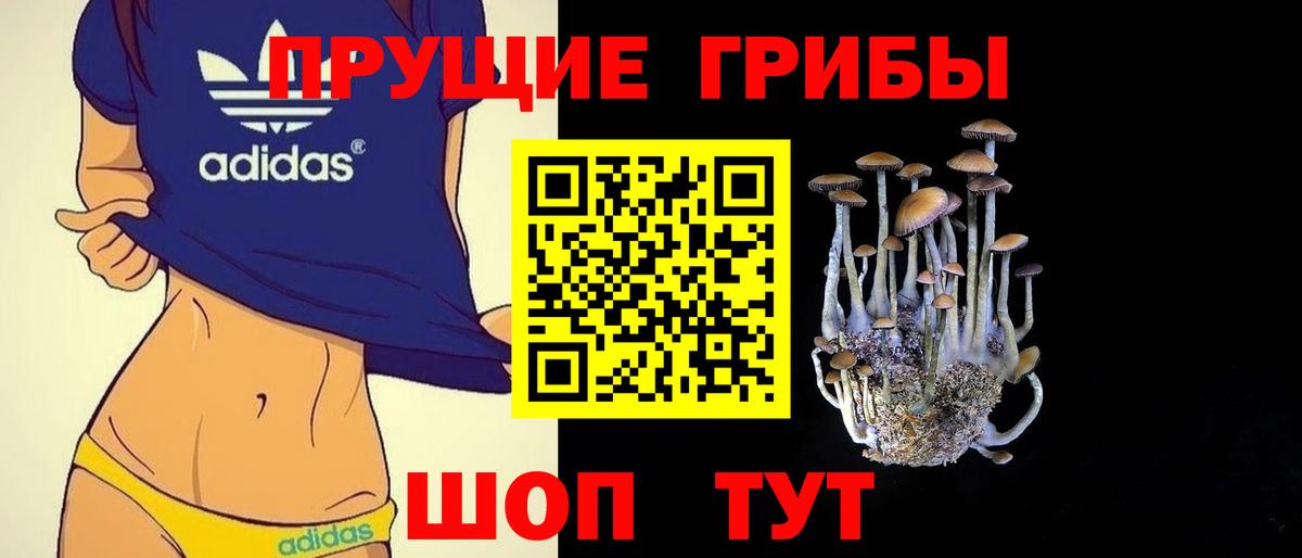 Арзамас  Галлюциногенные грибы прущие грибы  Вход с VPN 